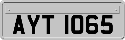 AYT1065