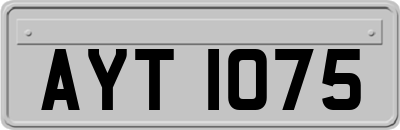 AYT1075