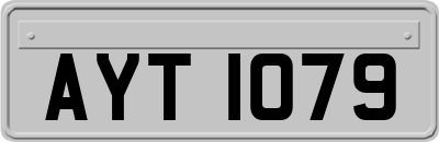 AYT1079