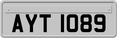 AYT1089