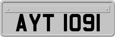AYT1091