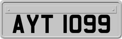 AYT1099