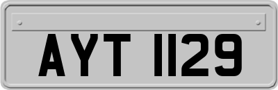 AYT1129