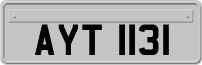 AYT1131
