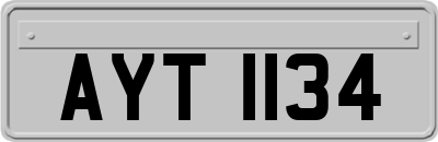 AYT1134