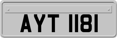 AYT1181
