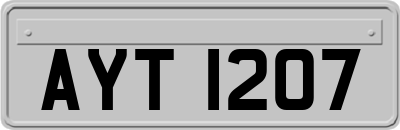 AYT1207