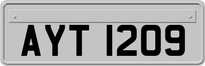 AYT1209