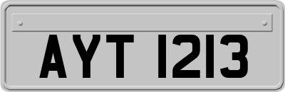 AYT1213