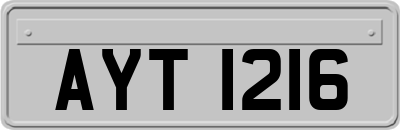 AYT1216