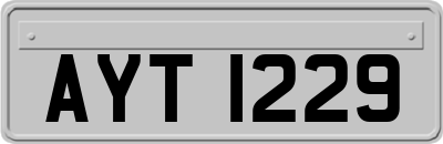 AYT1229