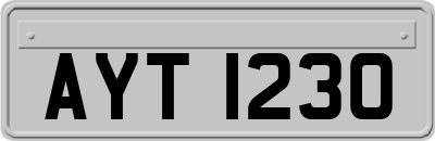 AYT1230