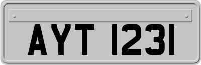 AYT1231