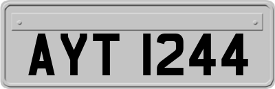 AYT1244