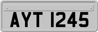 AYT1245