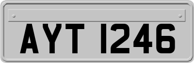 AYT1246