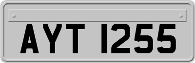 AYT1255