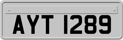 AYT1289