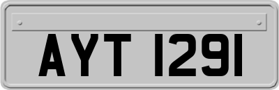 AYT1291