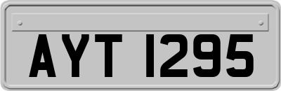 AYT1295