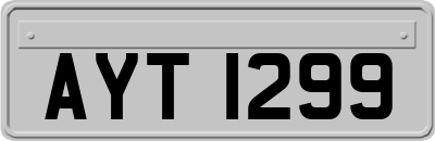 AYT1299