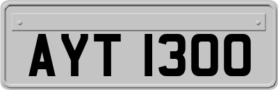 AYT1300