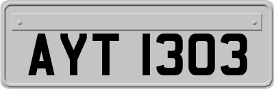 AYT1303