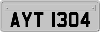 AYT1304