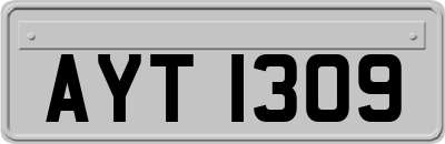 AYT1309