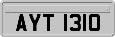 AYT1310