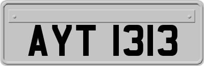 AYT1313