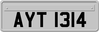AYT1314