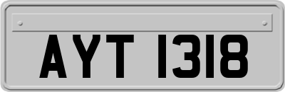 AYT1318