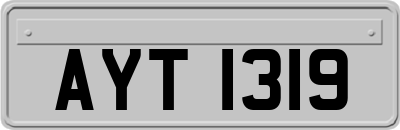 AYT1319