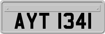AYT1341