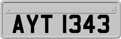 AYT1343