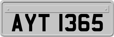 AYT1365