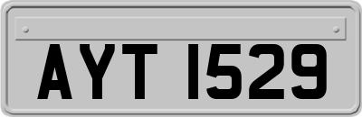 AYT1529