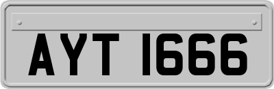 AYT1666