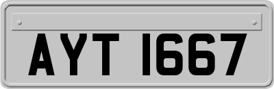 AYT1667