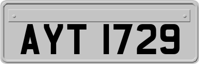 AYT1729