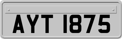 AYT1875