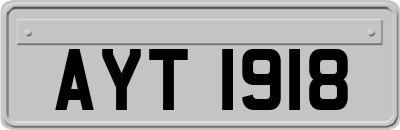 AYT1918