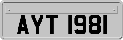 AYT1981
