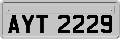 AYT2229