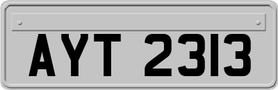 AYT2313