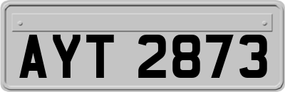 AYT2873