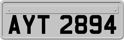 AYT2894