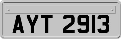 AYT2913