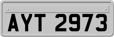 AYT2973